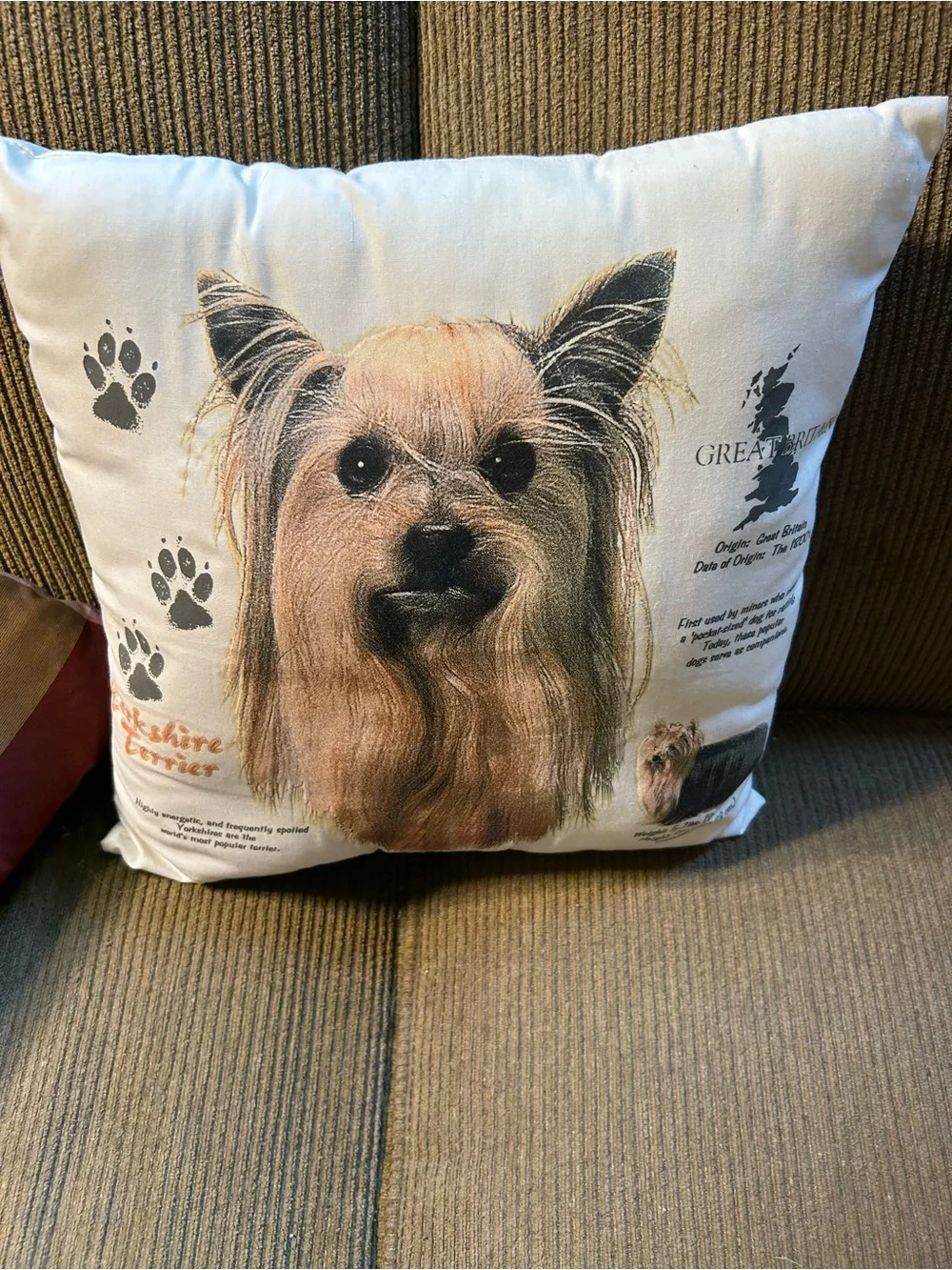 THE WILDSIDE YORKSHIRE TERRIER INFORMATIONAL CREAM/BROWN THROW PILLOW